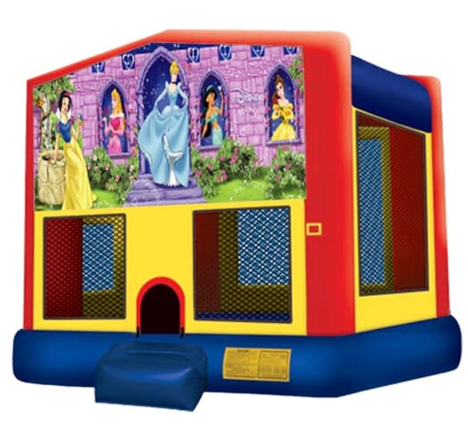 Disney Princess Bouncer