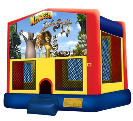 Madagascar Bouncer (Animals Zoo)