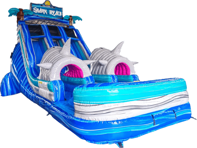 Shark Beach Adventure Double Lane Slide (Dry)